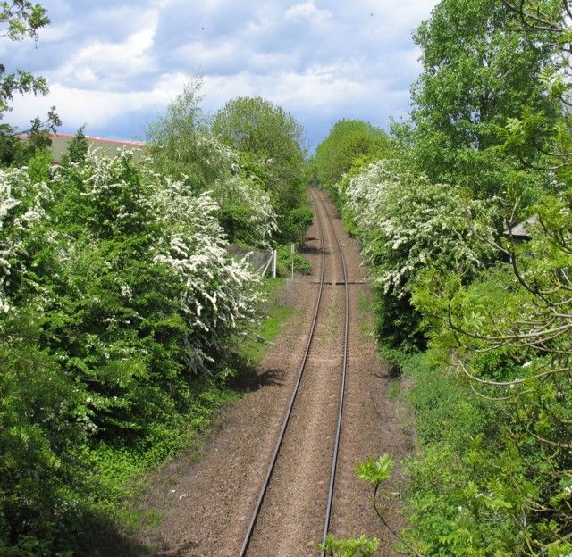 Ivanhoe Line to Ashby de la Zouch (c) Andrew Tatlow